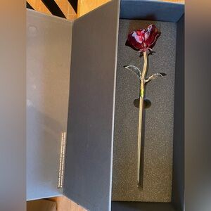 Waterford Fleurology 14 1/2 Single Long Stem Red Rose